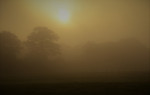 De zon komt op (Foto: Rob van 't Zand)